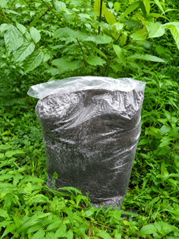 Nature Nest Organic Cocopeat 2